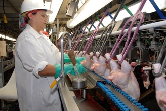 Chicken-processing-plant